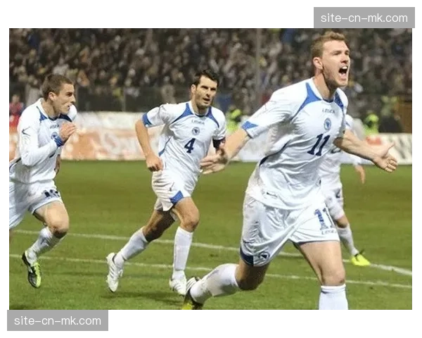 欧洲区附加赛前瞻：乌克兰与波黑争夺最后一张直通门票