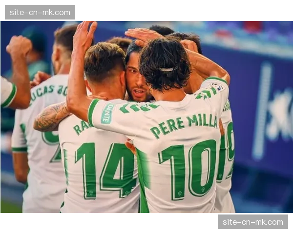 阿拉维斯对阵奥萨苏纳,保级关键战一触即发 阿拉维斯对阵奥萨苏纳,保级关键战一触即发